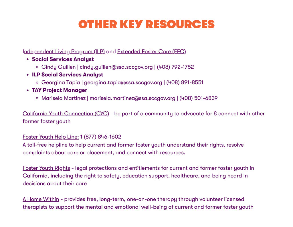 1771544096060-1f9c79ff-213f-4025-89e4-b2ea156c2a9f_19