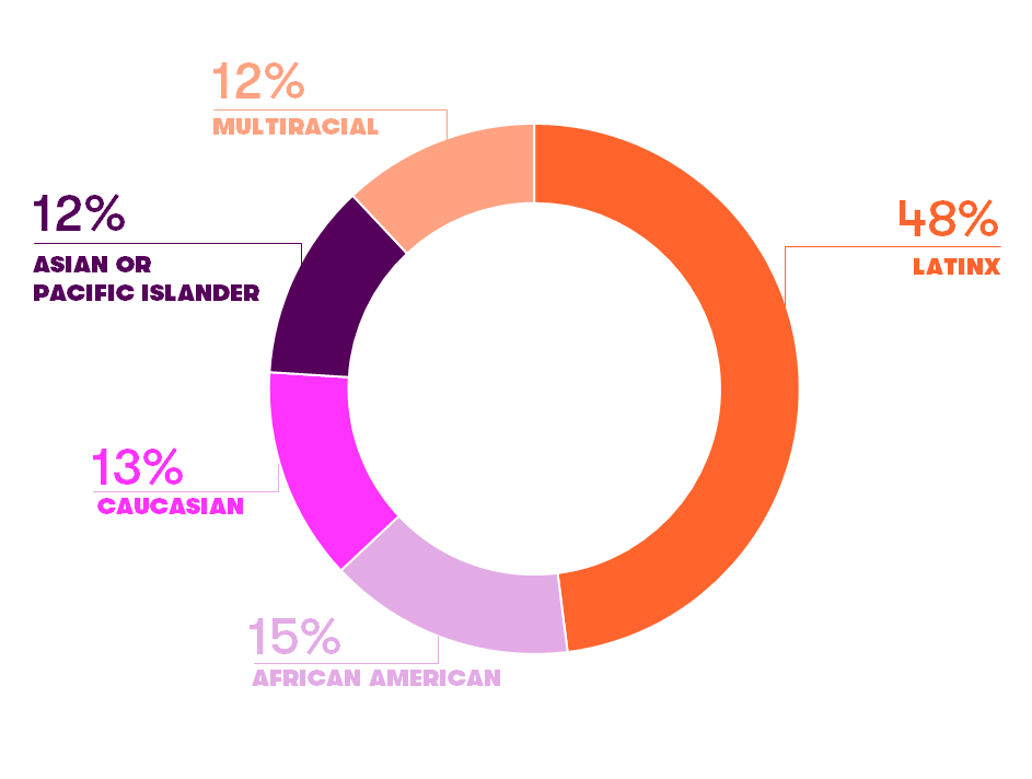 Scholarship Impact Pie Chart